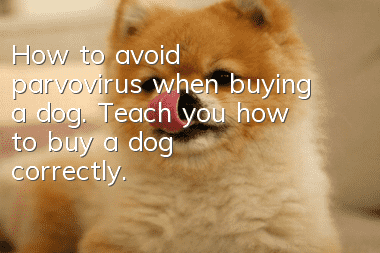 How to avoid parvovirus when buying a dog. Teach you how to buy a dog correctly.