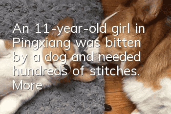 An 11-year-old girl in Pingxiang was bitten by a dog and needed hundreds of stitches. More than 300 people donated money
