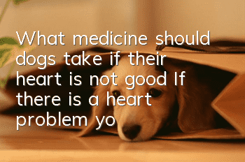What medicine should dogs take if their heart is not good? If there is a heart problem, you must pay more attention!