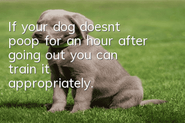 If your dog doesn’t poop for an hour after going out, you can train it appropriately.