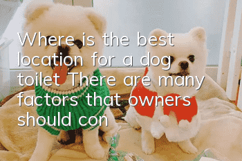 Where is the best location for a dog toilet? There are many factors that owners should consider.