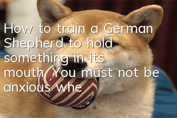 How to train a German Shepherd to hold something in its mouth. You must not be anxious when holding something in its mouth. It does not come from being anxious.