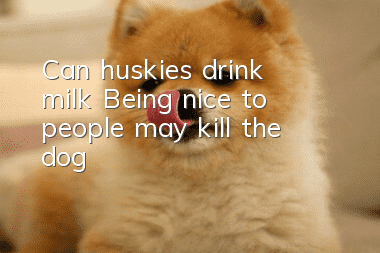 Can huskies drink milk? Being nice to people may kill the dog