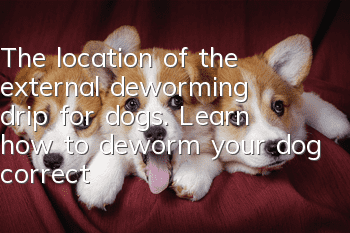 The location of the external deworming drip for dogs. Learn how to deworm your dog correctly.