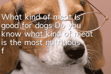 What kind of meat is good for dogs? Do you know what kind of meat is the most nutritious for dogs?