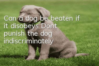 Can a dog be beaten if it disobeys? Don’t punish the dog indiscriminately!