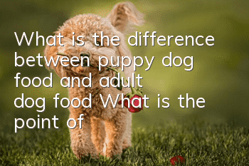What is the difference between puppy dog food and adult dog food? What is the point of choosing dog food?