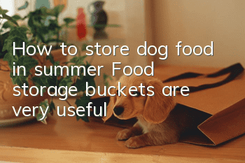 How to store dog food in summer? Food storage buckets are very useful!