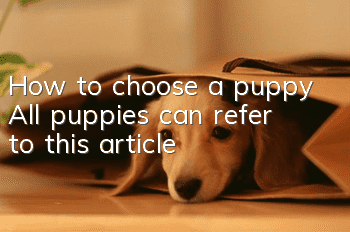 How to choose a puppy All puppies can refer to this article