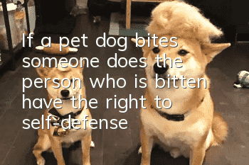 If a pet dog bites someone, does the person who is bitten have the right to self-defense?