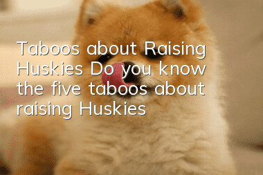 Taboos about Raising Huskies Do you know the five taboos about raising Huskies?
