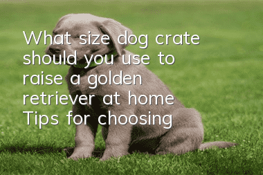 What size dog crate should you use to raise a golden retriever at home? Tips for choosing a dog crate