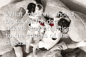 What medicine should be taken for dog rickets? Pay attention to the causes of the disease