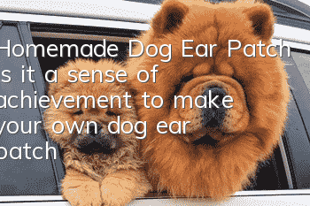 Homemade Dog Ear Patch Is it a sense of achievement to make your own dog ear patch?