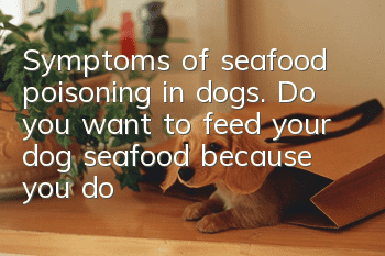 Symptoms of seafood poisoning in dogs. Do you want to feed your dog seafood because you don’t want it to survive?