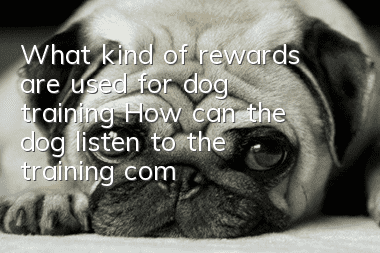 What kind of rewards are used for dog training? How can the dog listen to the training commands even if the rewards are not in place?