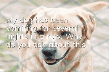 My dog has been vomiting for several nights in a row. Why do you ask about this?
