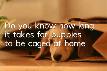 Do you know how long it takes for puppies to be caged at home?