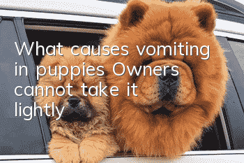 What causes vomiting in puppies? Owners cannot take it lightly!