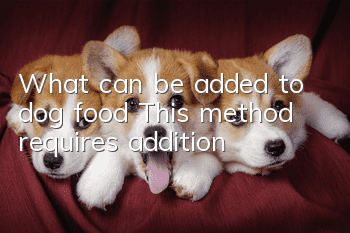 What can be added to dog food? This method requires addition!