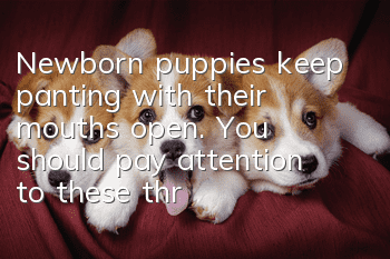 Newborn puppies keep panting with their mouths open. You should pay attention to these three situations: