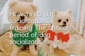 How to do dog socialization training? The critical period of dog socialization