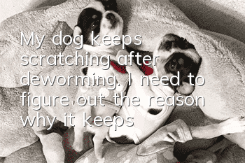 My dog keeps scratching after deworming. I need to figure out the reason why it keeps scratching!