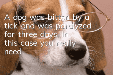 A dog was bitten by a tick and was paralyzed for three days. In this case, you really need to seek medical attention immediately!