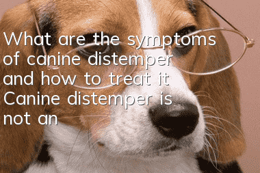 What are the symptoms of canine distemper and how to treat it? Canine distemper is not an incurable disease