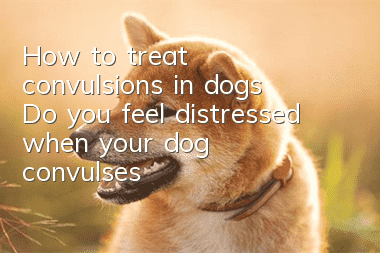 How to treat convulsions in dogs? Do you feel distressed when your dog convulses?