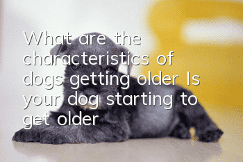 What are the characteristics of dogs getting older? Is your dog starting to get older?