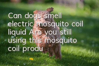 Can dogs smell electric mosquito coil liquid? Are you still using this mosquito coil product on your dog?