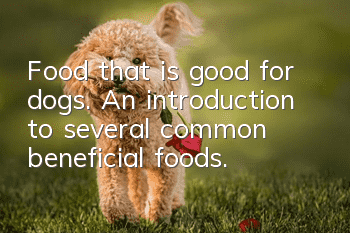 Food that is good for dogs. An introduction to several common beneficial foods.