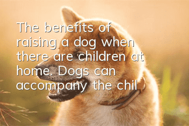 The benefits of raising a dog when there are children at home. Dogs can accompany the children as they grow up.