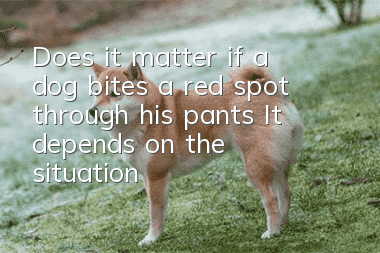 Does it matter if a dog bites a red spot through his pants? It depends on the situation!