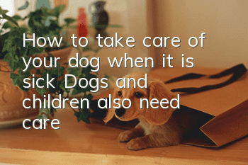 How to take care of your dog when it is sick? Dogs and children also need care!