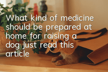 What kind of medicine should be prepared at home for raising a dog? Just read this article