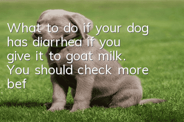 What to do if your dog has diarrhea if you give it to goat milk. You should check more before feeding goat milk!