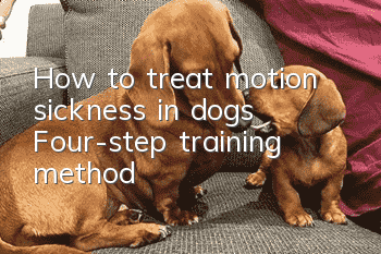How to treat motion sickness in dogs Four-step training method
