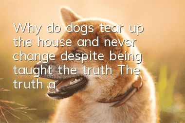 Why do dogs tear up the house and never change despite being taught the truth? The truth about dogs tearing up the house