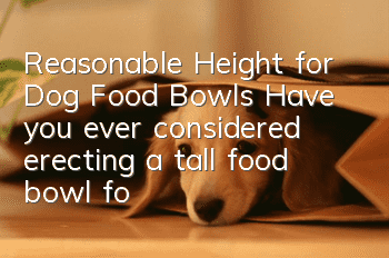 Reasonable Height for Dog Food Bowls Have you ever considered erecting a tall food bowl for your dog?