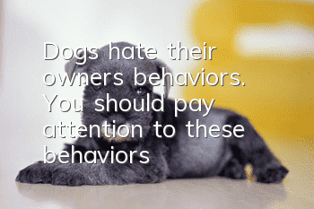 Dogs hate their owners’ behaviors. You should pay attention to these behaviors!