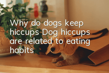 Why do dogs keep hiccups? Dog hiccups are related to eating habits