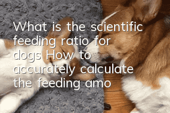 What is the scientific feeding ratio for dogs? How to accurately calculate the feeding amount?