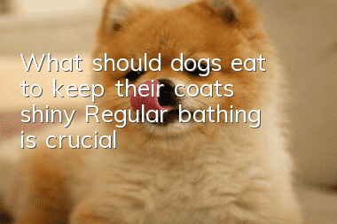 What should dogs eat to keep their coats shiny? Regular bathing is crucial