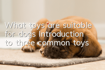 What toys are suitable for dogs? Introduction to three common toys