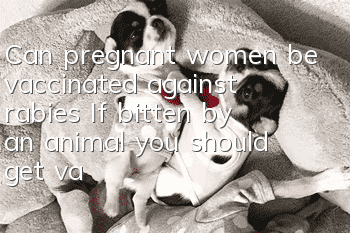 Can pregnant women be vaccinated against rabies? If bitten by an animal, you should get vaccinated immediately!