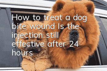 How to treat a dog bite wound? Is the injection still effective after 24 hours?