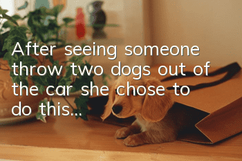 After seeing someone throw two dogs out of the car, she chose to do this...