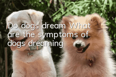 Do dogs dream? What are the symptoms of dogs dreaming?